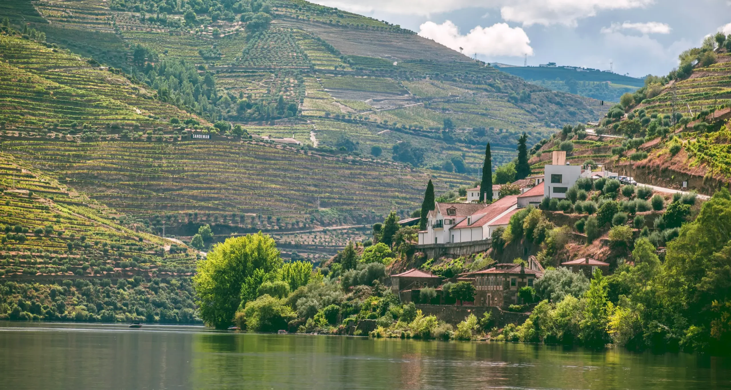 Wine Tours